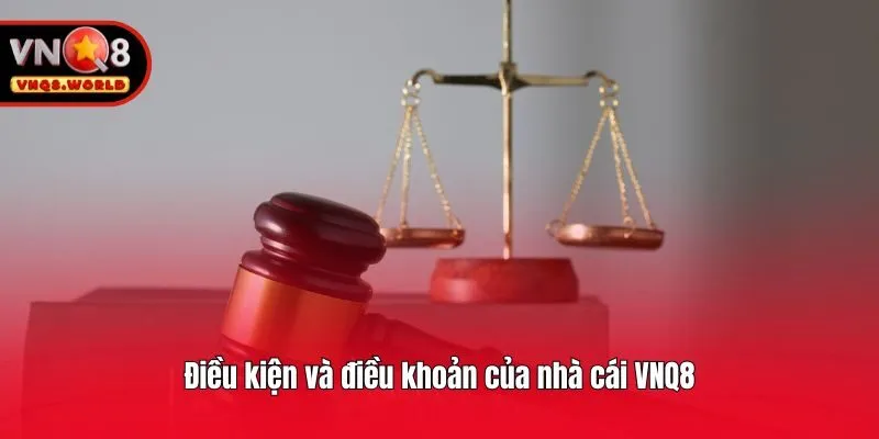 Điều kiện và điều khoản của nhà cái VNQ8