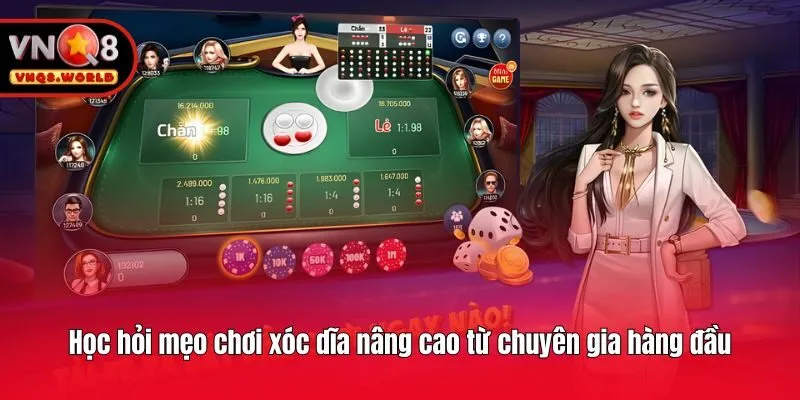 Học hỏi mẹo chơi xóc dĩa nâng cao từ chuyên gia hàng đầu
