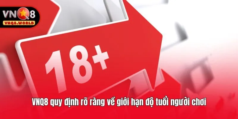 VNQ8 quy định rõ ràng về giới hạn độ tuổi người chơi